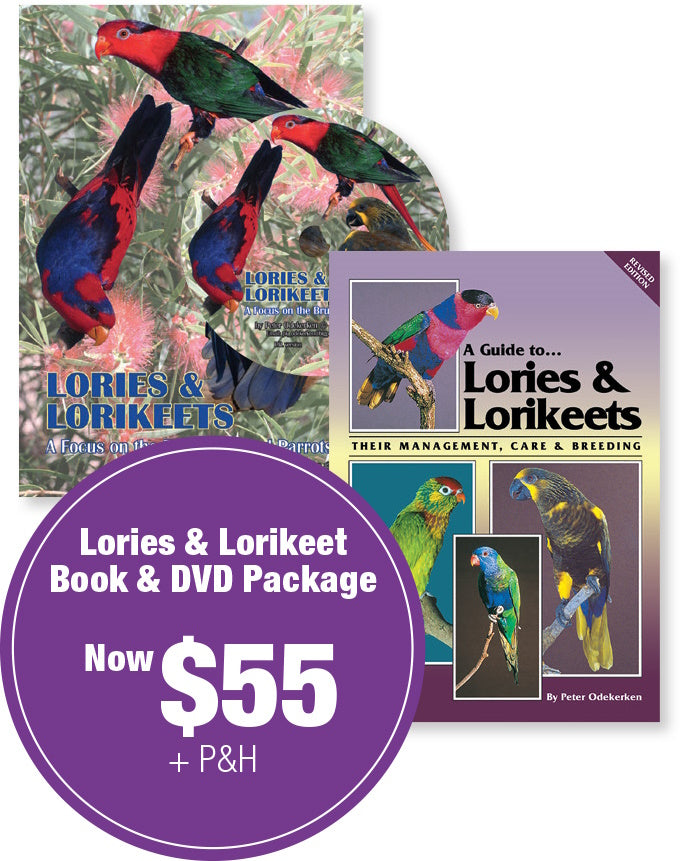 A Guide to Lories and Lorikeets & DVD Package Special