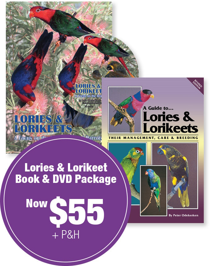 A Guide to Lories and Lorikeets & DVD Package Special