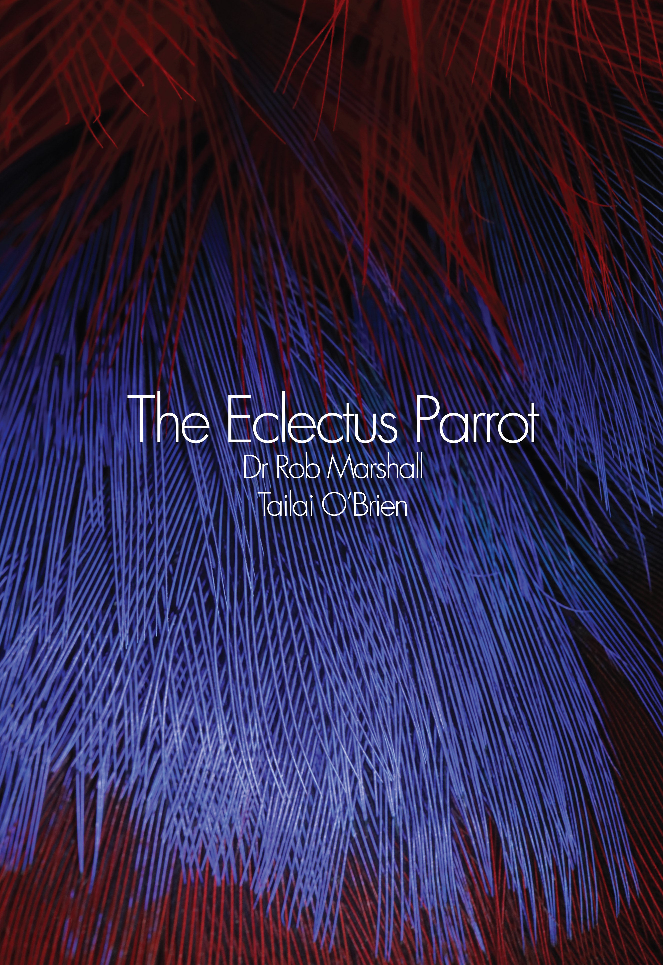 The Eclectus Parrot