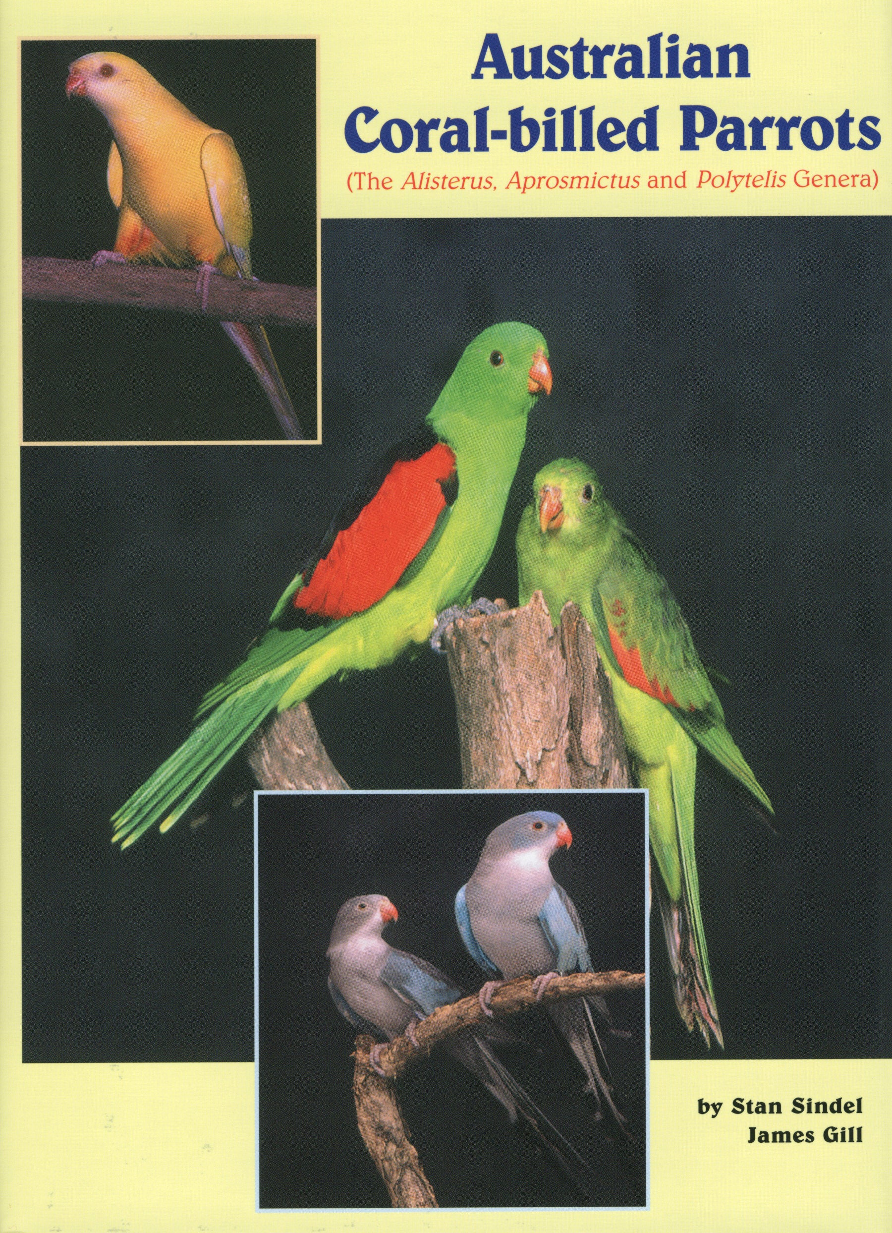 Australian Coral-billed Parrots