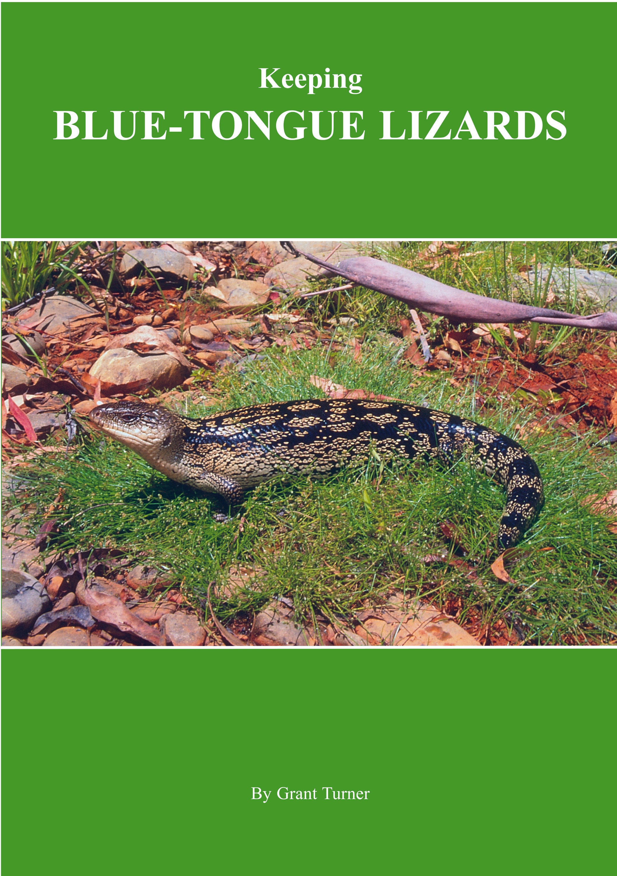 Keeping Blue-Tongue Lizards