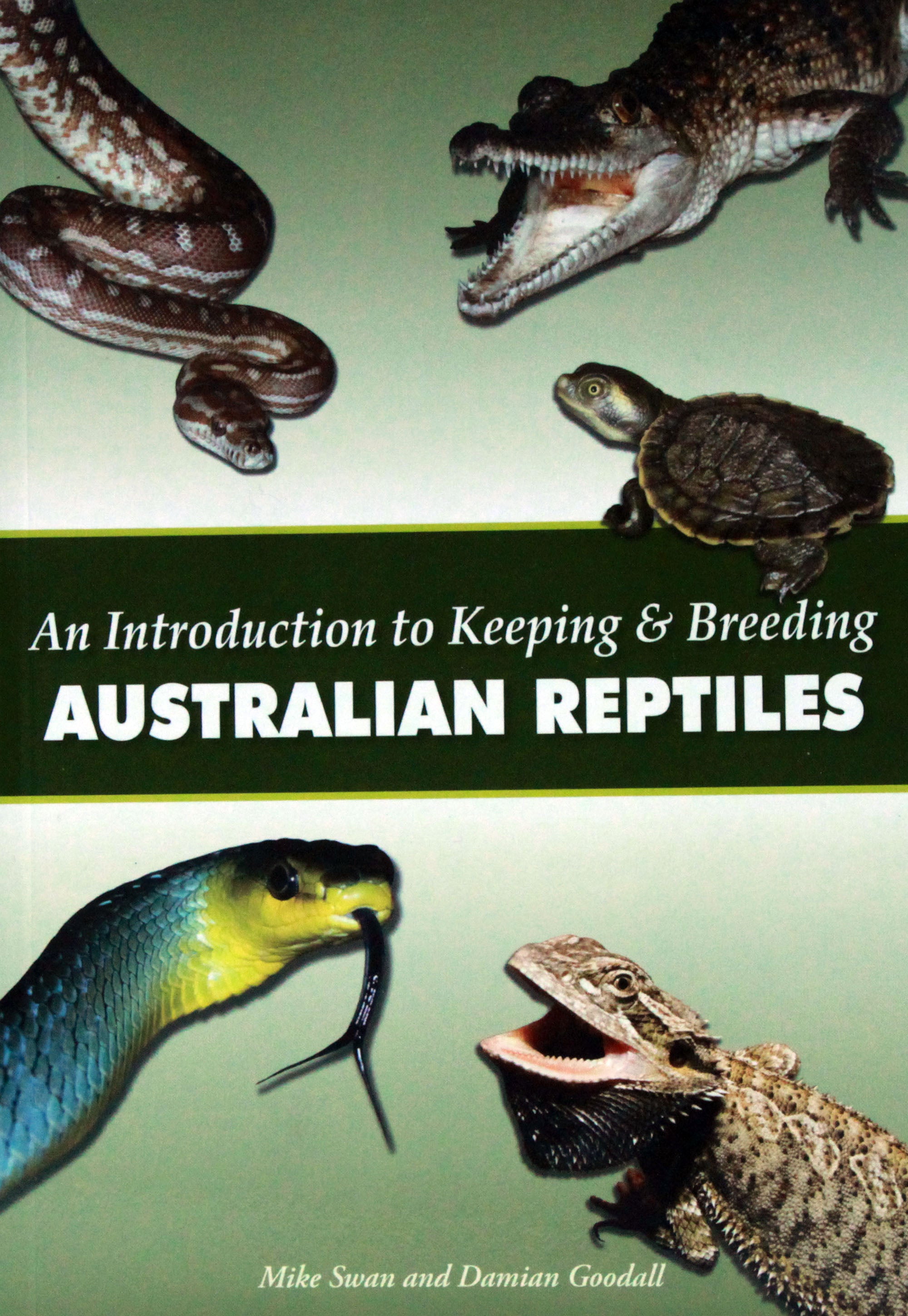 An Introduction to Keeping and Breeding Australian Reptiles