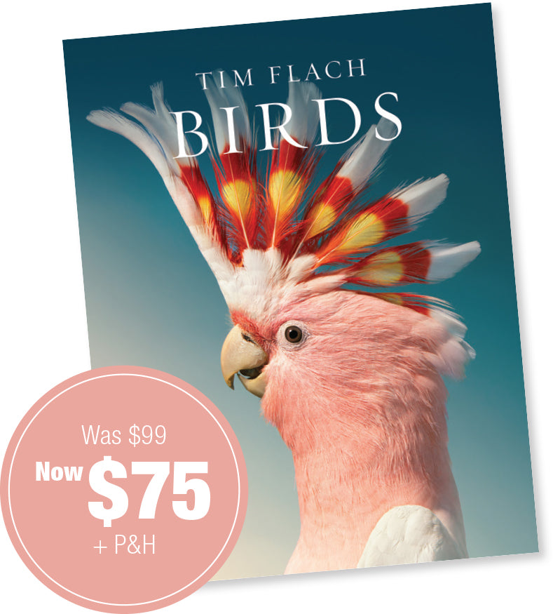 Australian BirdKeeper Magazine Vol 35 Iss 1