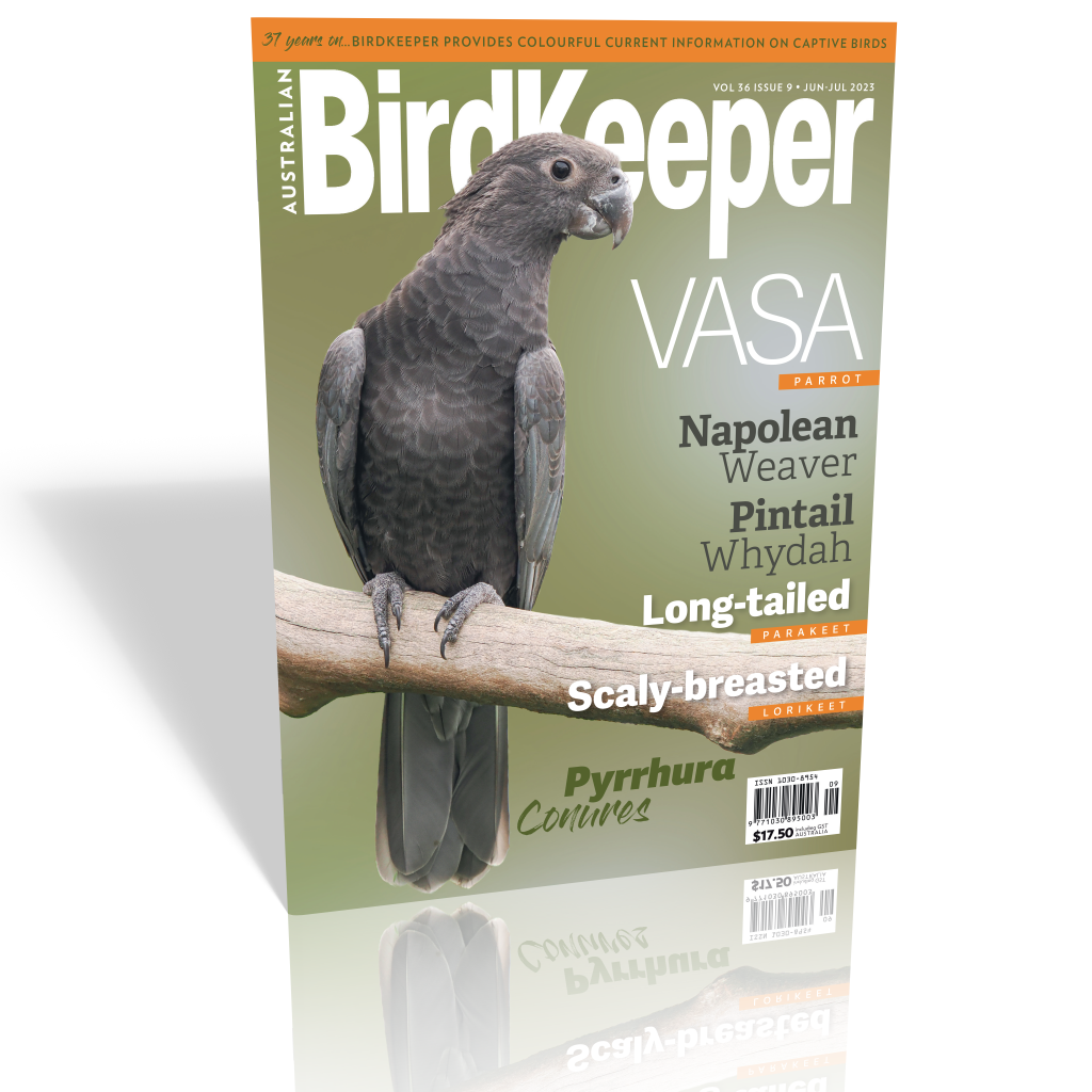 未着用品 Australian Birdkeeper Magazine 2冊セット 洋書 - ネット