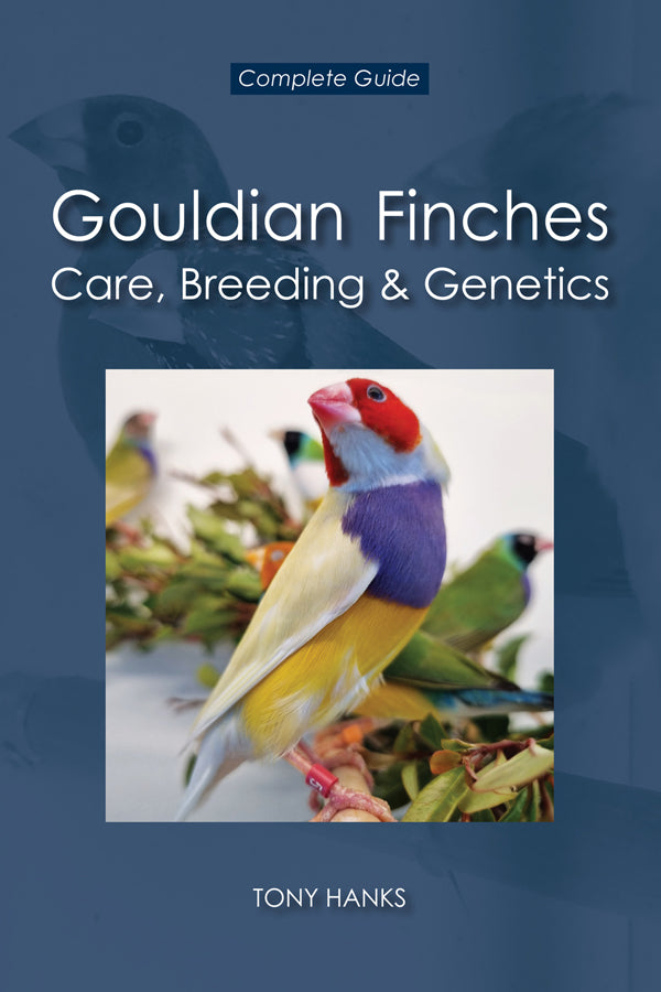 Gouldian Finches - Care, Breeding & Genetics