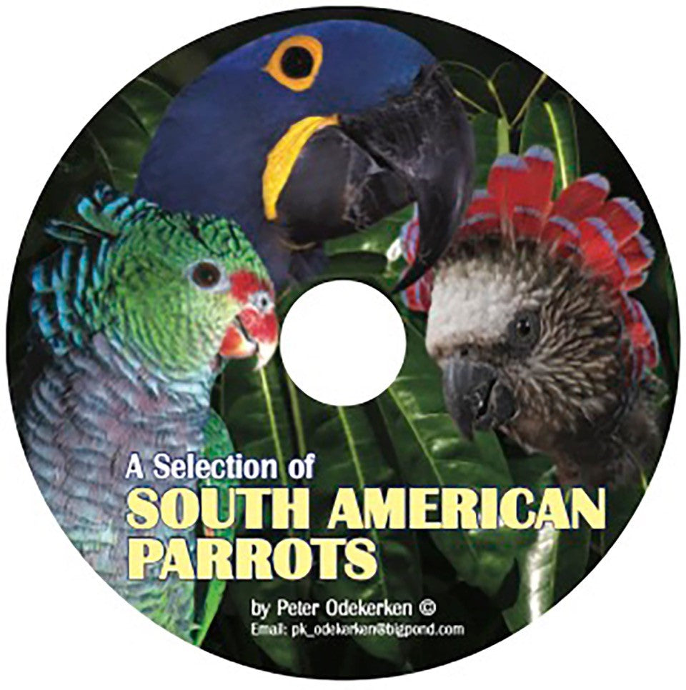 DVD—A Selection of South American Parrots (40 minutes)