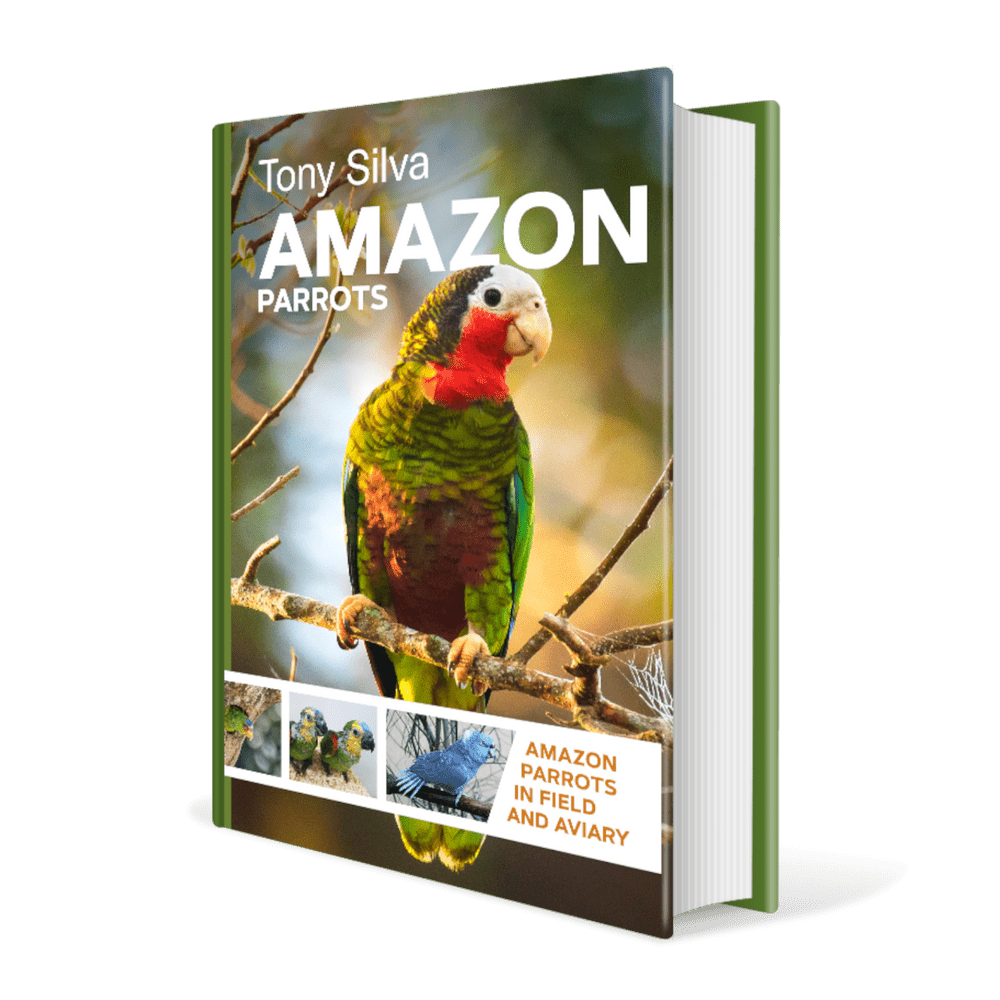 Amazon Parrots: Amazon Parrots in Field and Aviary