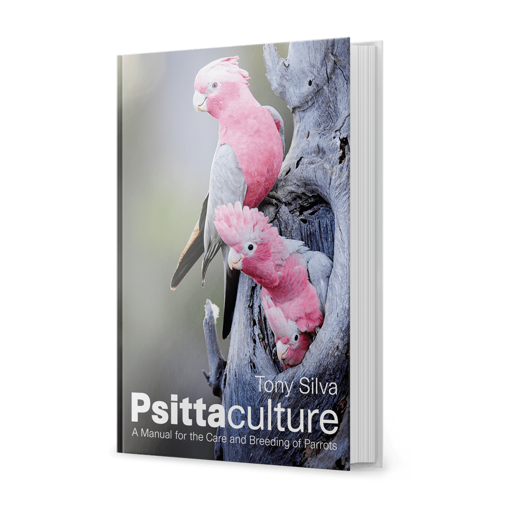 Psittaculture - A Manual for the Care and Breeding of Parrots