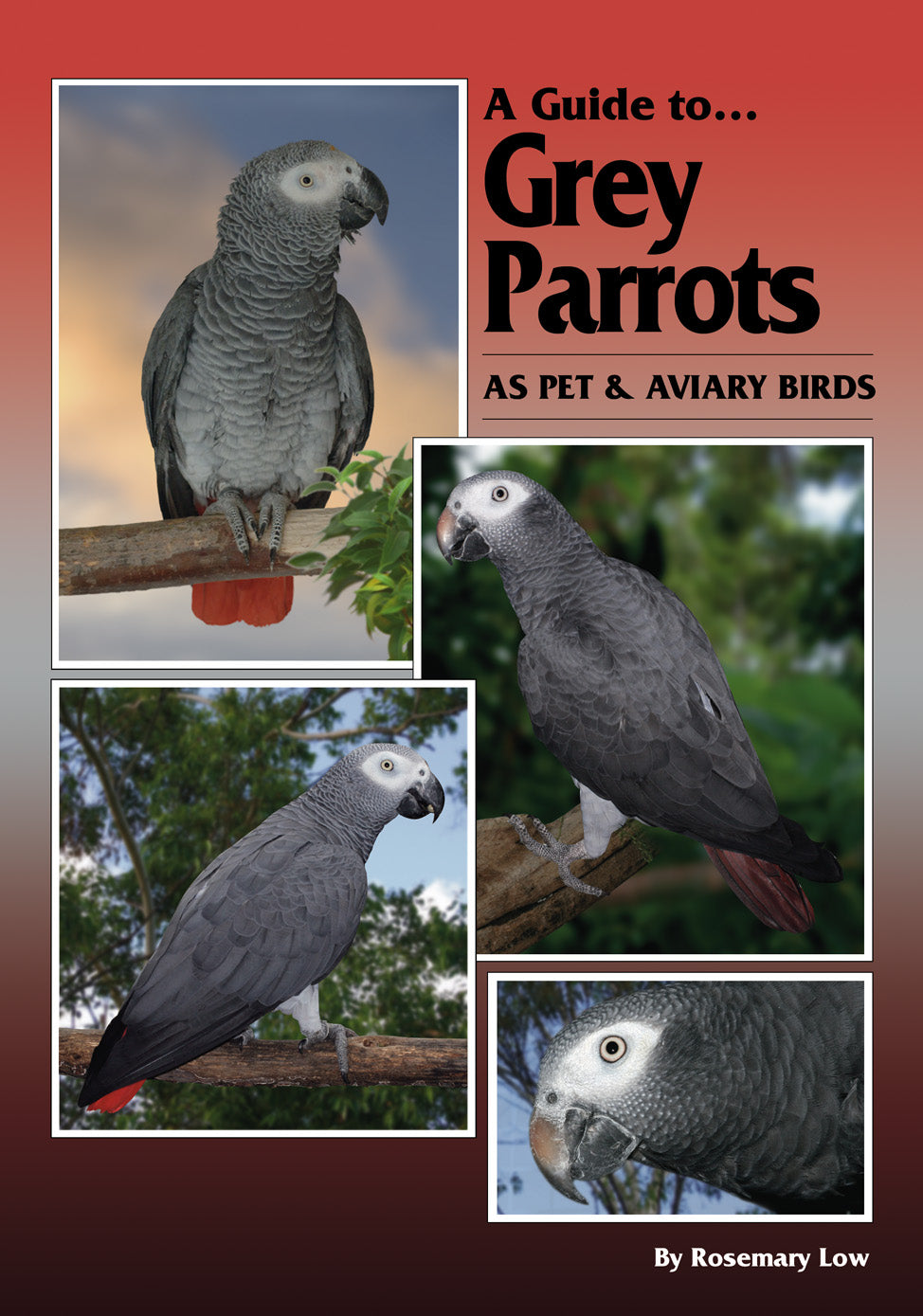 A Guide to Grey Parrots as Pet and Aviary Birds (Hard Cover)
