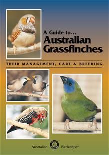A Guide to Australian Grassfinches