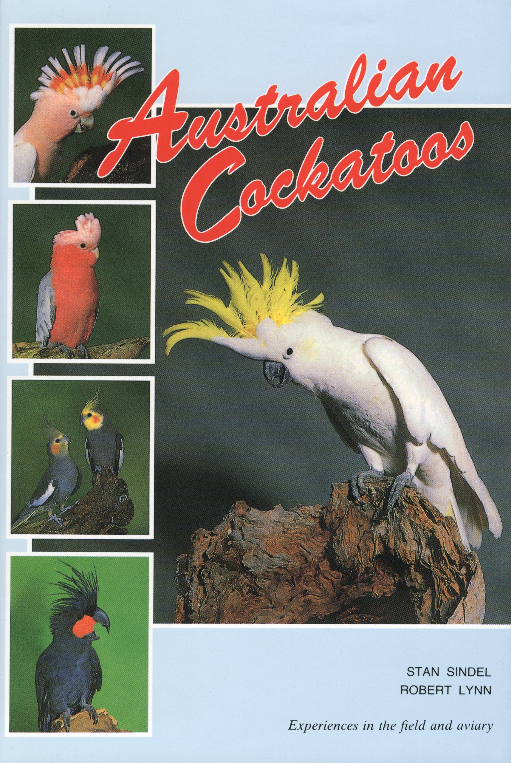 Australian Cockatoos
