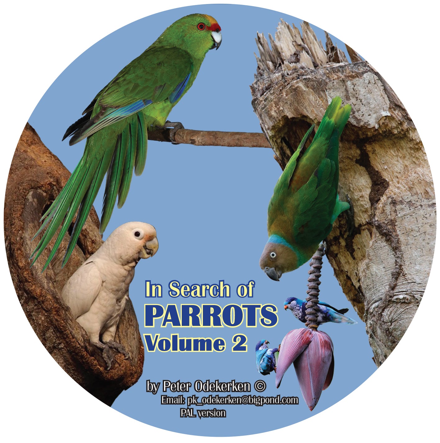 DVD—In Search of Parrots Volume 2 Non Australian Parrots (40 mins)