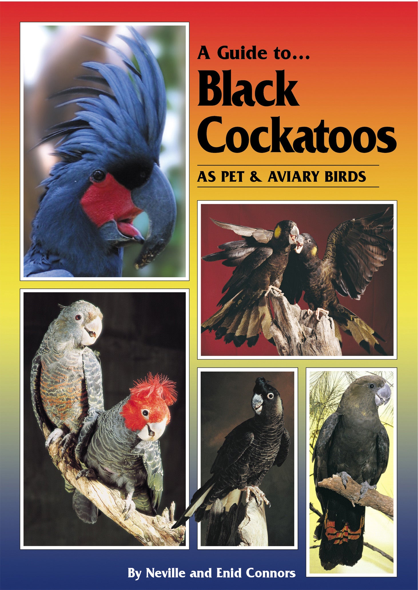 A Guide to Australian Black Cockatoos (Hard Cover)