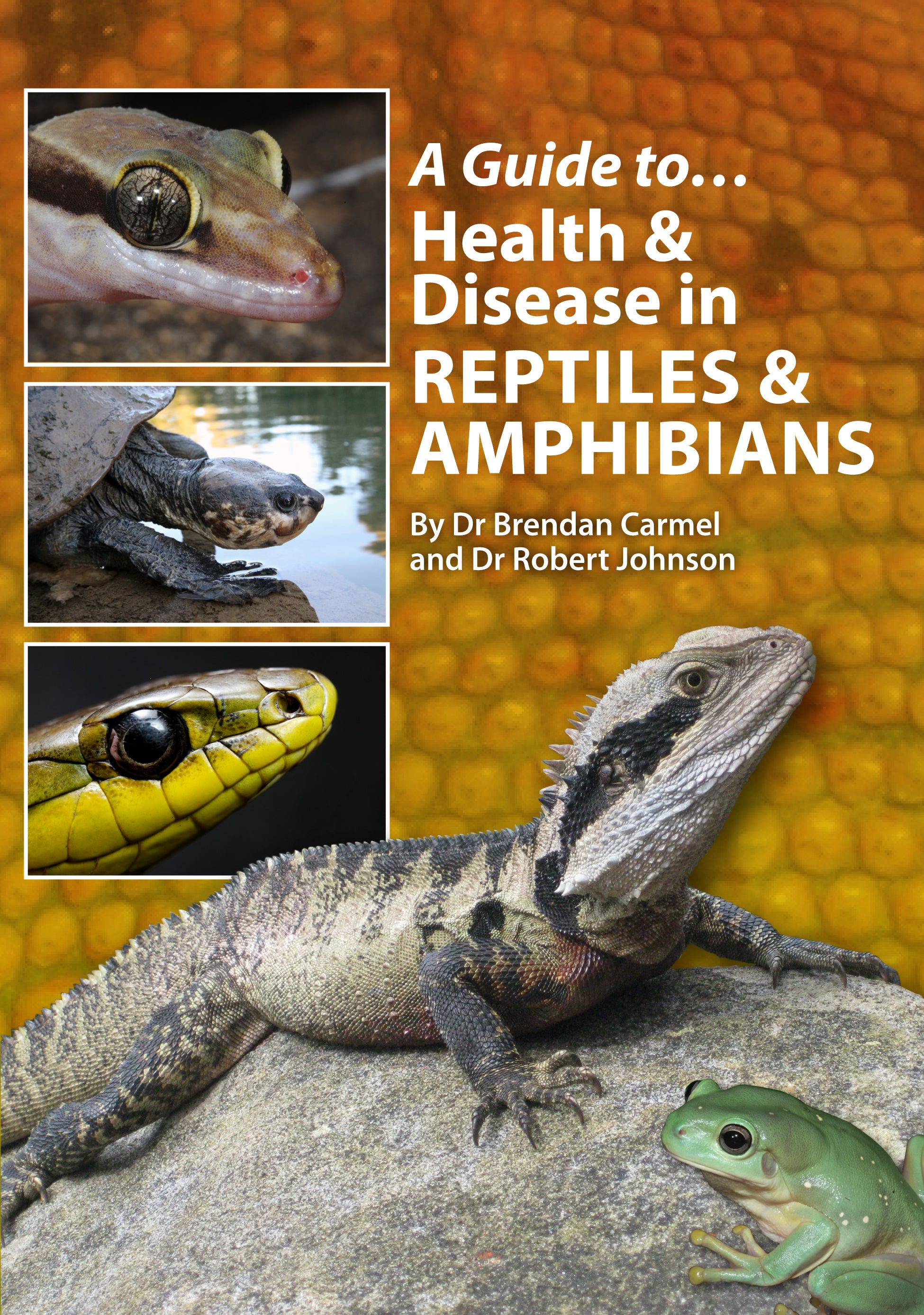 A Guide to Health and Disease in Reptiles and Amphibians