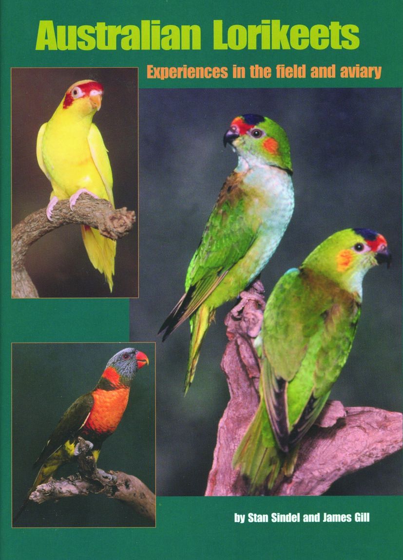 Australian Lorikeets—Experiences in the Field and Aviary (Revised)